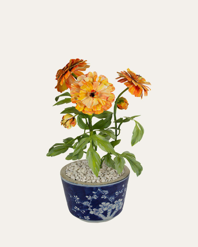 Marigold October Birth Flower in Ceramic Pot